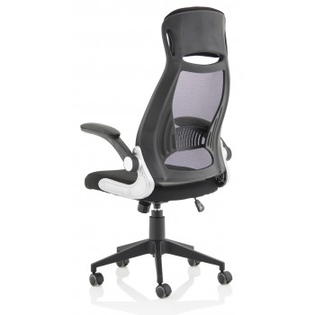 Saturn Executive Office Chair