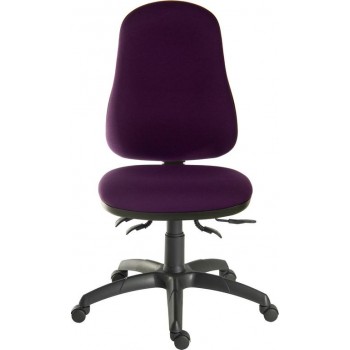 Ergo Comfort Spectrum 24 Hour Office Chair