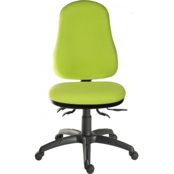 Ergo Comfort Spectrum 24 Hour Office Chair