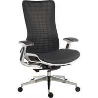 Quantum Executive Mesh Office Chair